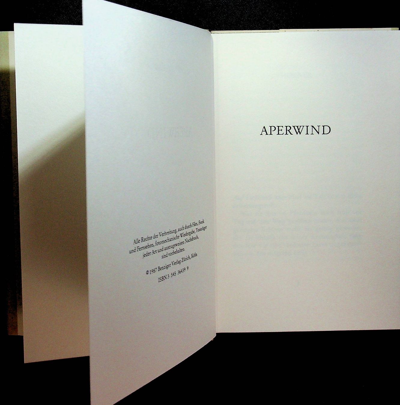Libri: Flavio Steinmann Aperwind Benziger EA 1987 – Usato da Reitnau venduto da Zaomir 2