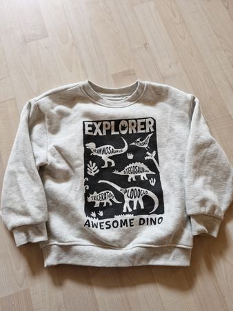 Pullover Gr.116