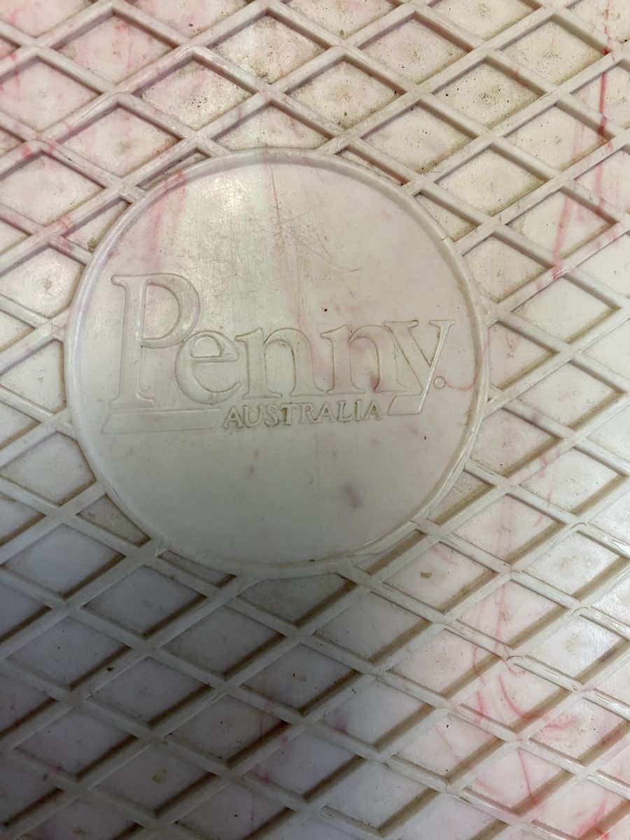 Penny Skateboards Skateboards: Pennyboard – Usato da Murten venduto da juliagnaedinger 2