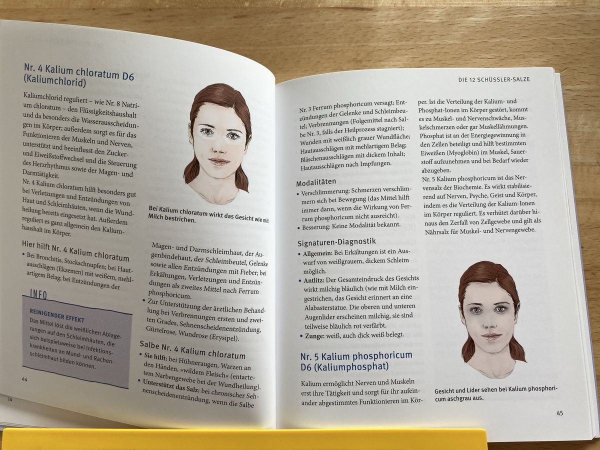 Libri: Schüssler-Salze Das Basisbuch - Günther H. Heepen – Usato da Schwarzenburg venduto da Michellu 8