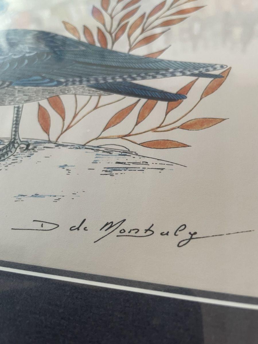 Gemälde: Ancien Dessin Original Phalarope D. de Monbaly – Gebraucht aus Vallamand von Bricbracbroc82 3
