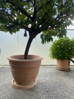 Blumentopf aus Kunststoff mit Untersatz