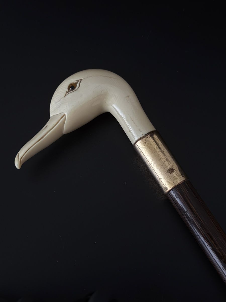 Sculture & Statue: Antiker Gehstockgriff Entenkopf aus Knochen – Usato da Luzern venduto da downtonabbey 1