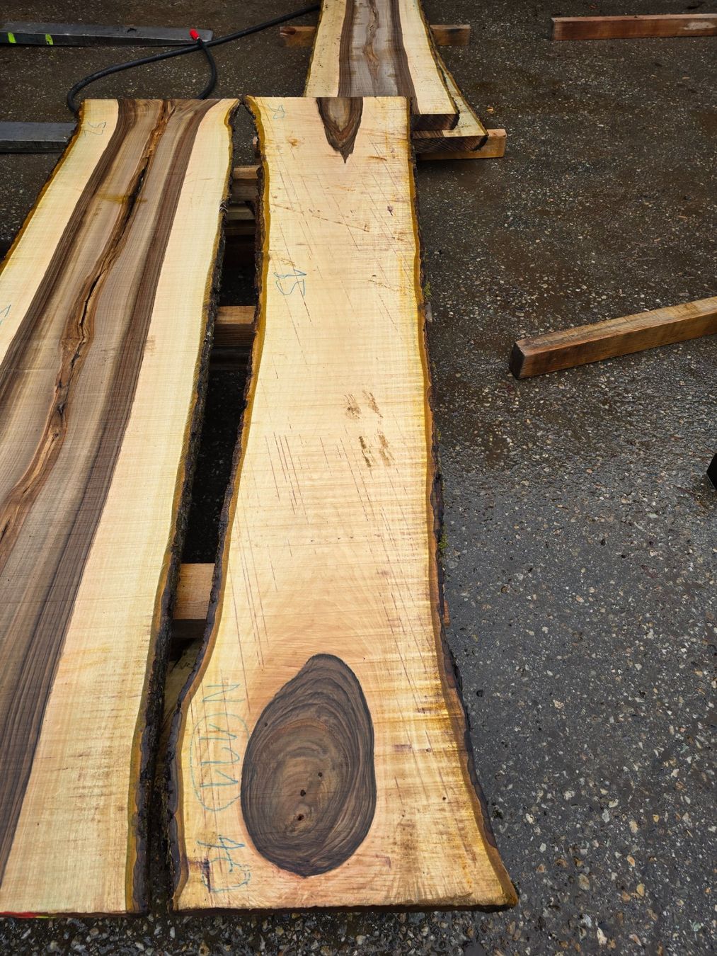 Articles en bois: Nussbaumbrett Nr. N111 – Neuf (Voir description) à Ramsei par Waelchris