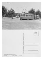 Zürich Zoo Krähbühlstrasse Tram VBZ Be 4/4 1364 Kurbeli + B2