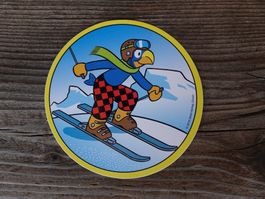 NEUES Globi Abziehbild Skifahrer - Globi Verlag 2016 - G36