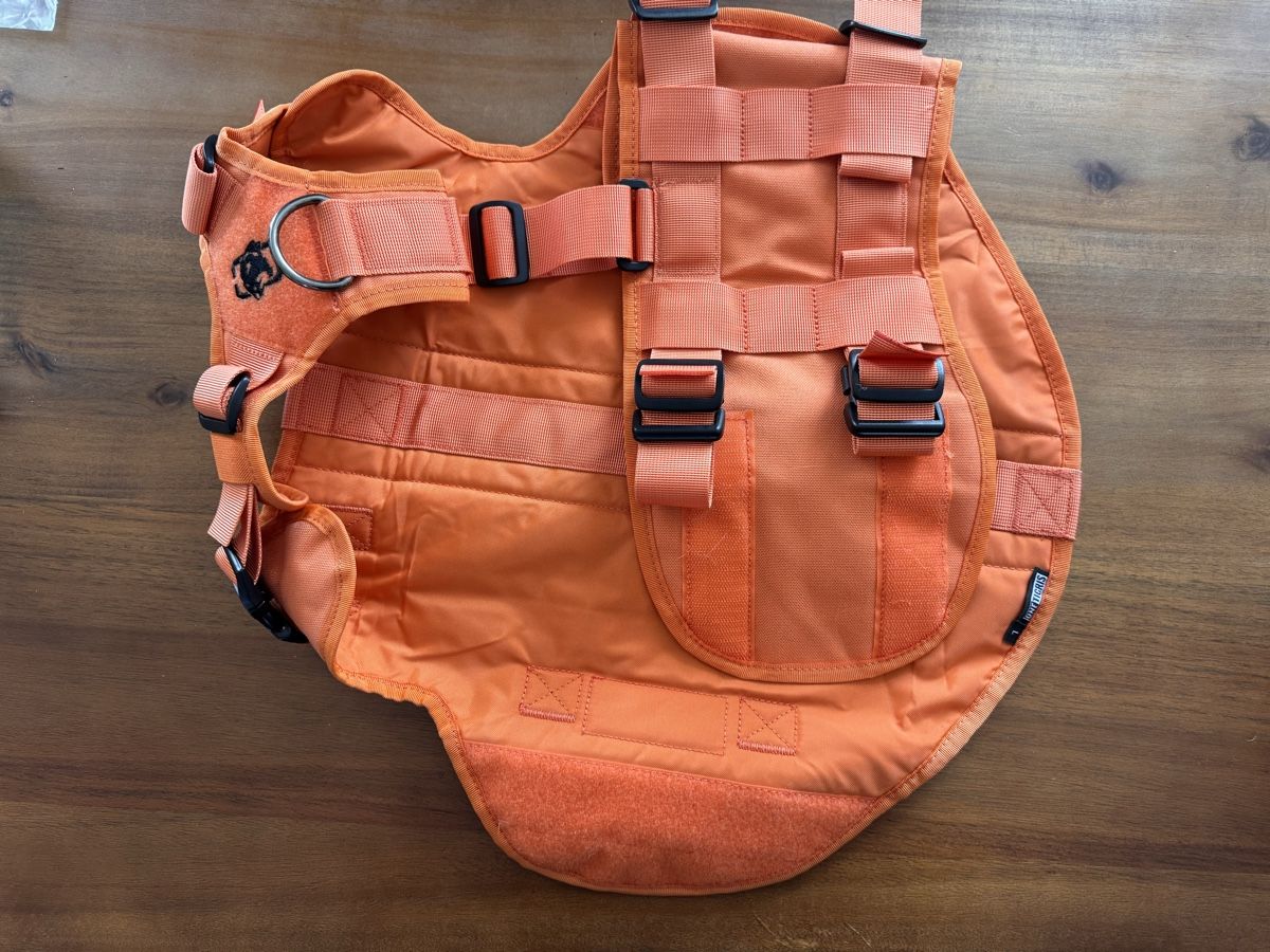Leine & Halsband: Hundehalsband – Neu (gemäss Beschreibung) aus Basel von Caveli