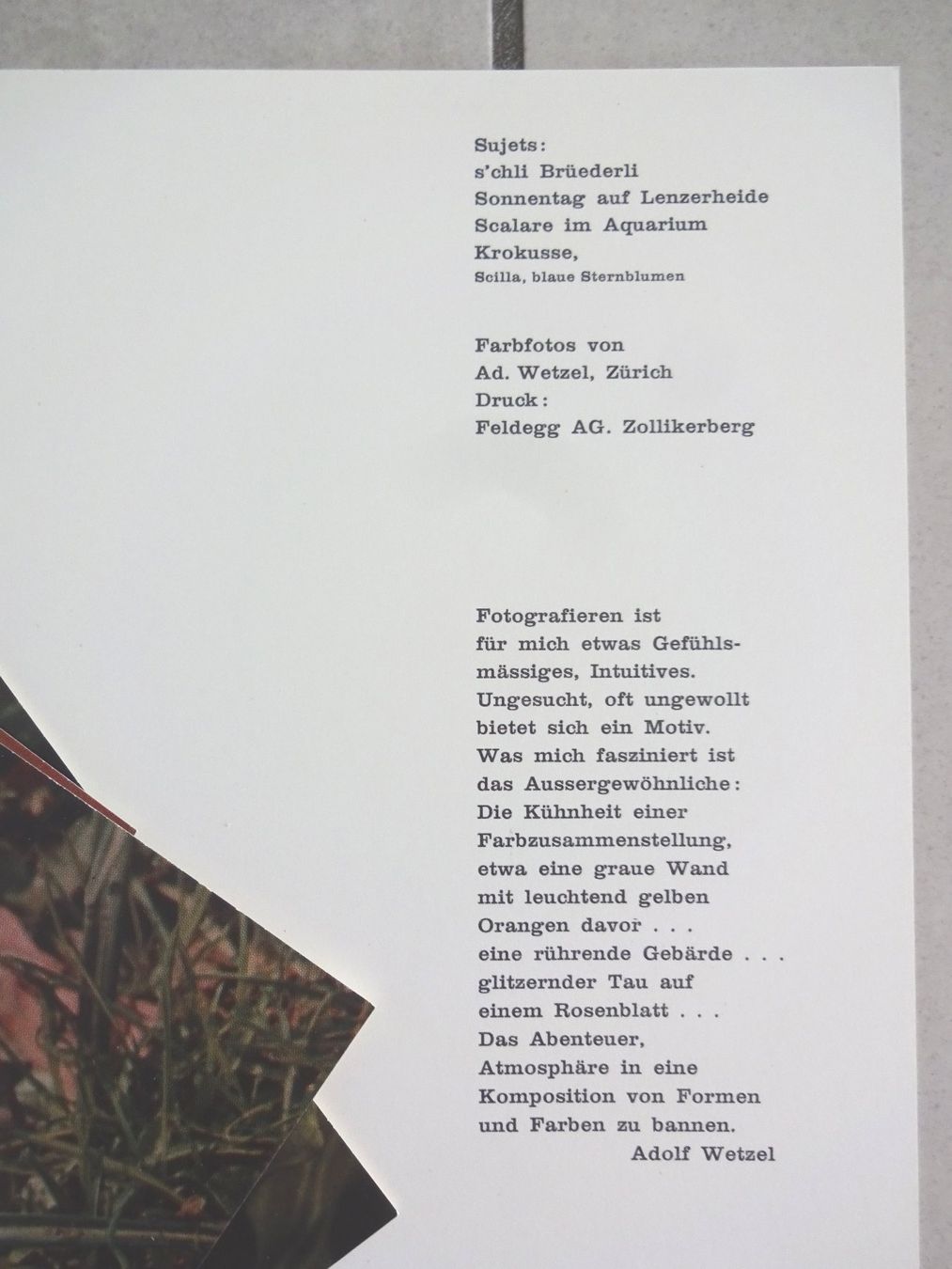 Poster & Bilder: Farbfotos von Adolf Wetzel – Gebraucht aus St.Gallen von Paddington11 4