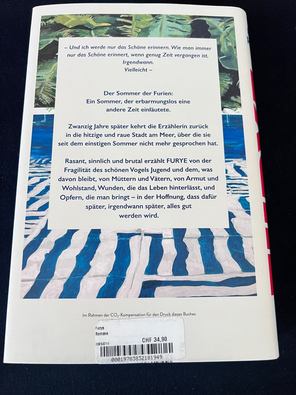 Libri: Buch - Furye - roman – Nuovo (secondo la descrizione) da Effretikon venduto da YaMn 2