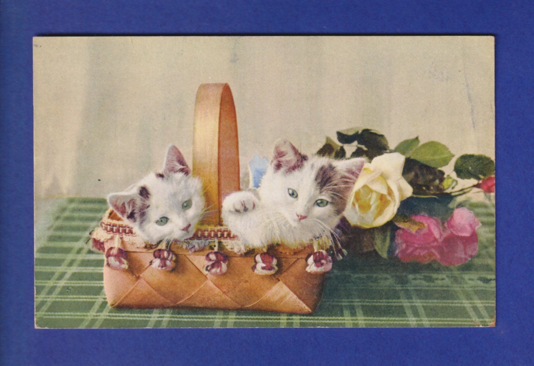 Ansichtskarten: CHAT - Chatons aux yeux verts – Gebraucht aus Pully von nicecards-shop