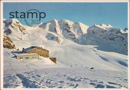 1964 AK Diavolezza _ Piz Palü und Bellavista