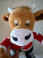 Maskottchen Cooly Eishockey WM 2026 35cm