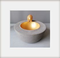 Betonschale mit goldenem Nasenigel