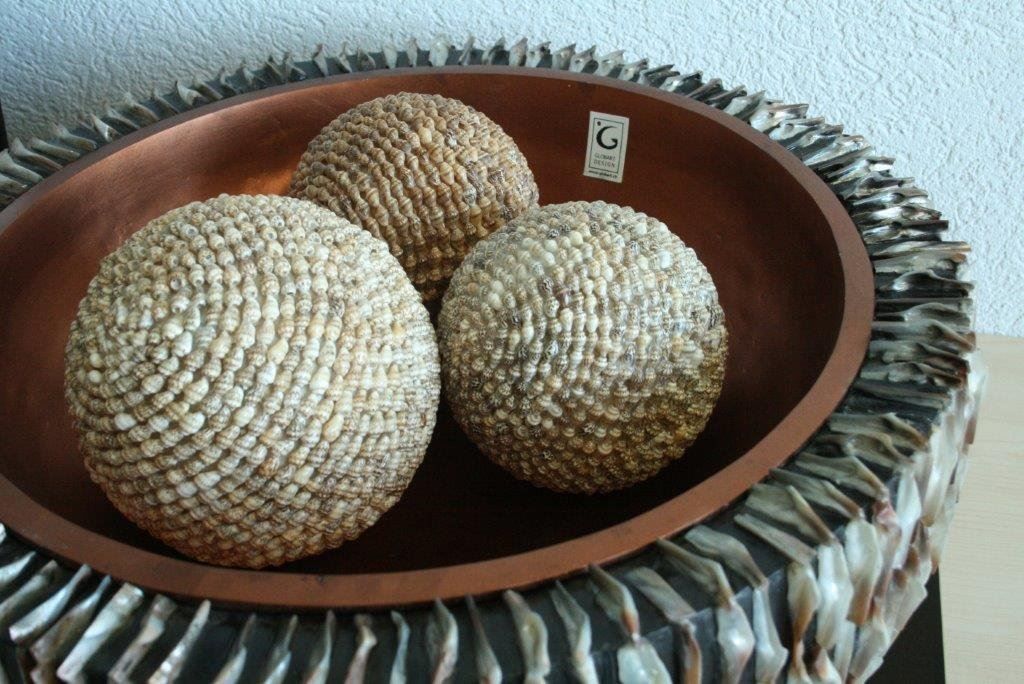 Ciotole: exklusive Schale – Nuovo e nell'imballaggio originale da Wetzikon ZH venduto da Alpari 4