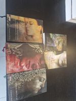 verkaufe komplette Twilight Serie