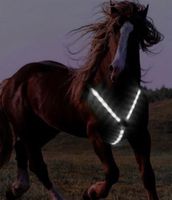 Vorgeschirr LED beleuchtet weiss Reitsport Pferde Winterzeit