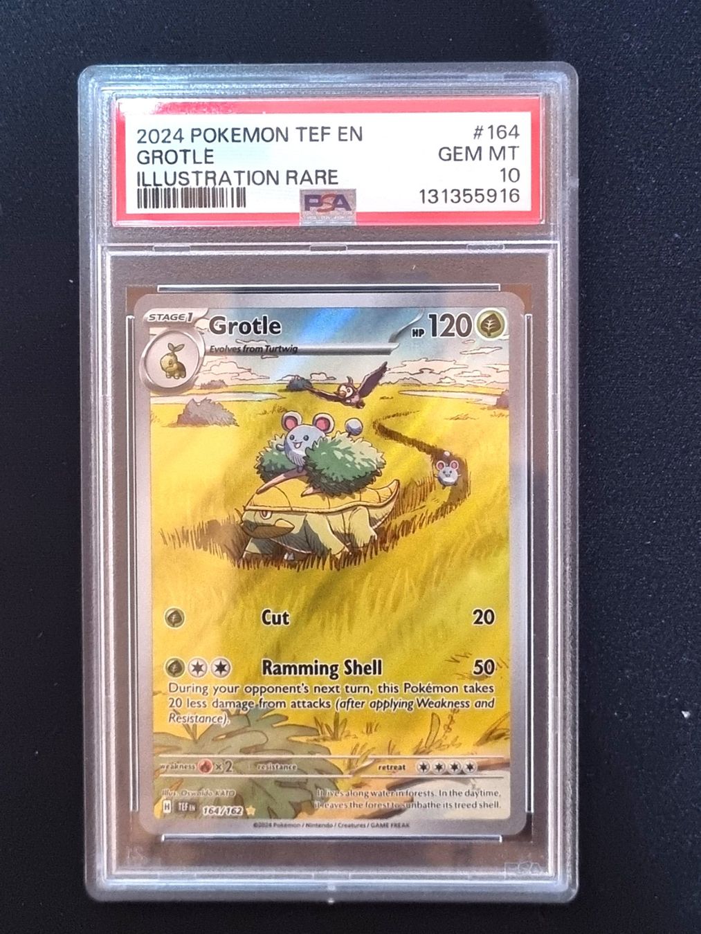 Pokémon Carte collezionabili: Grotle #164 Pokemon Temporal Forces - PSA 10 - TEF - ENG – Nuovo (secondo la descrizione) da Genève venduto da nic_8h7x