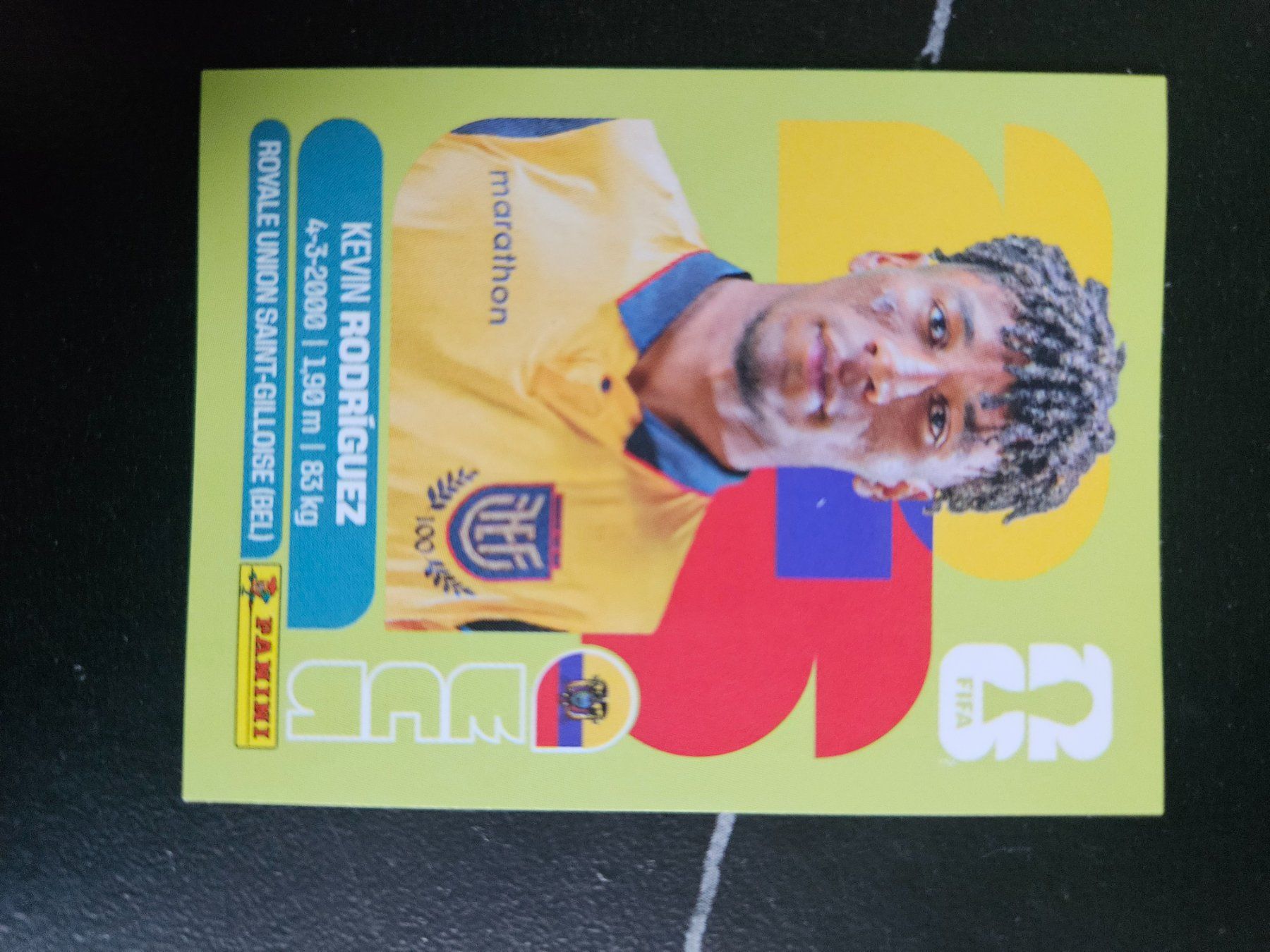 Panini Cartes à collectionner: ECU 19 – D'occasion à Würenlingen par Dinli