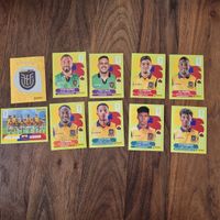 Panini Sticker Ecuador Fussball WM 2026 10 Stk