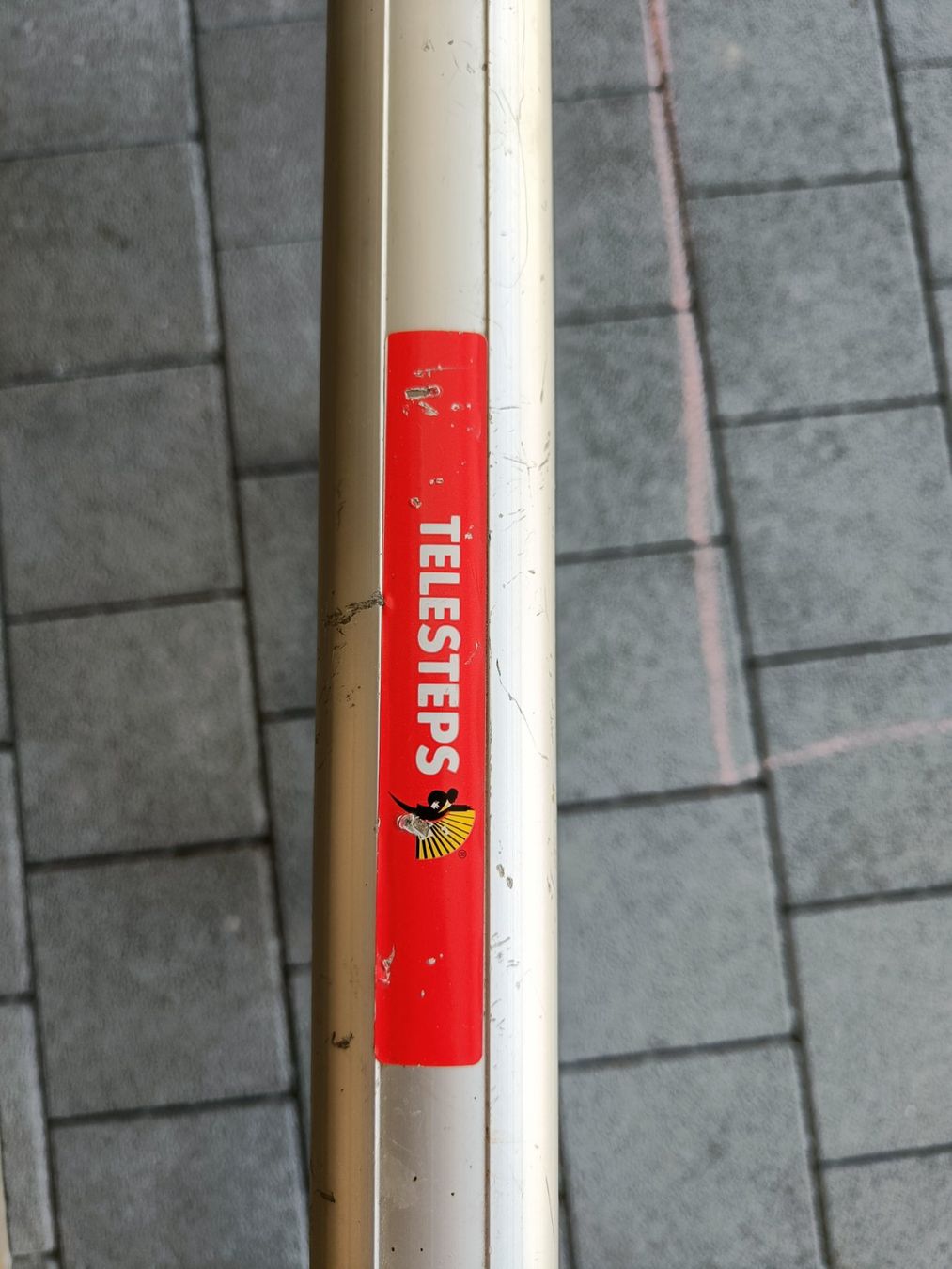Scale: Teleskop Leiter Telesteps 3,3m Aluminium – Usato da Egolzwil venduto da Mirjam24 2