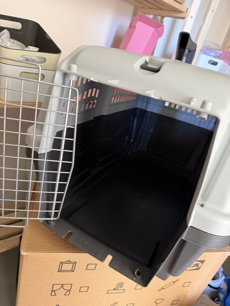 Gabbie, trasporto & Sicurezza: Hunde Box – Usato da Weggis venduto da fashion_2021 1