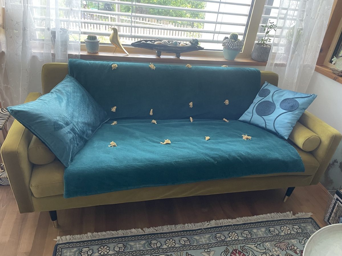 Sofas: Samt Bettsofa – Neu (gemäss Beschreibung) aus Rueun von Alegra787 1