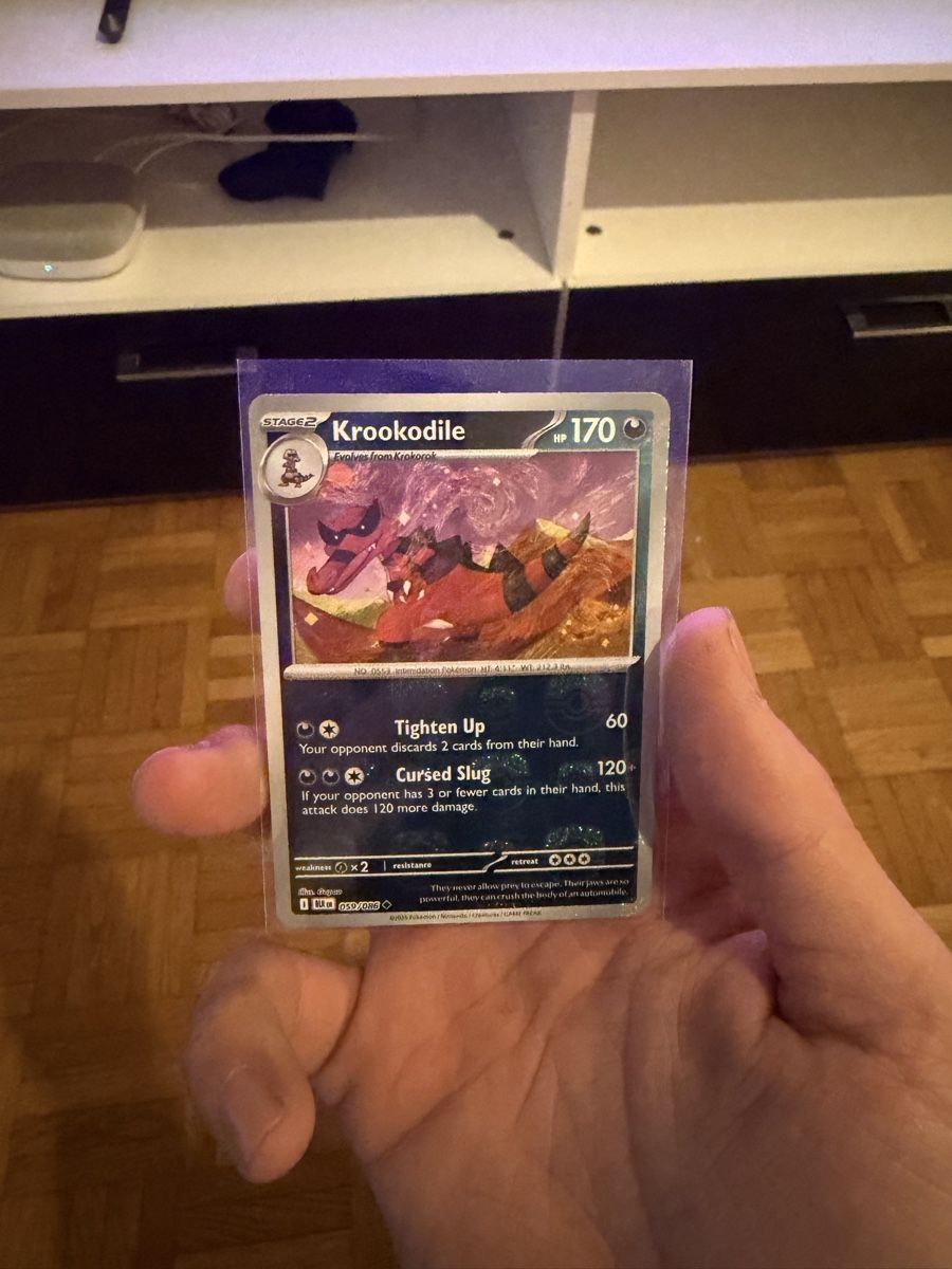Pokémon Carte collezionabili: Carte Pokémon krokodille – Nuovo (secondo la descrizione) da Bellinzona venduto da sa_2025h
