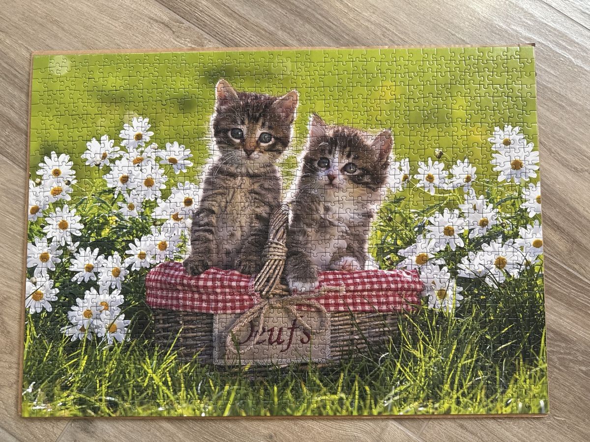 Ravensburger Puzzle: Ravensburger Puzzle 1000 Teile – Nuovo (secondo la descrizione) da Stadel venduto da nicibaer08