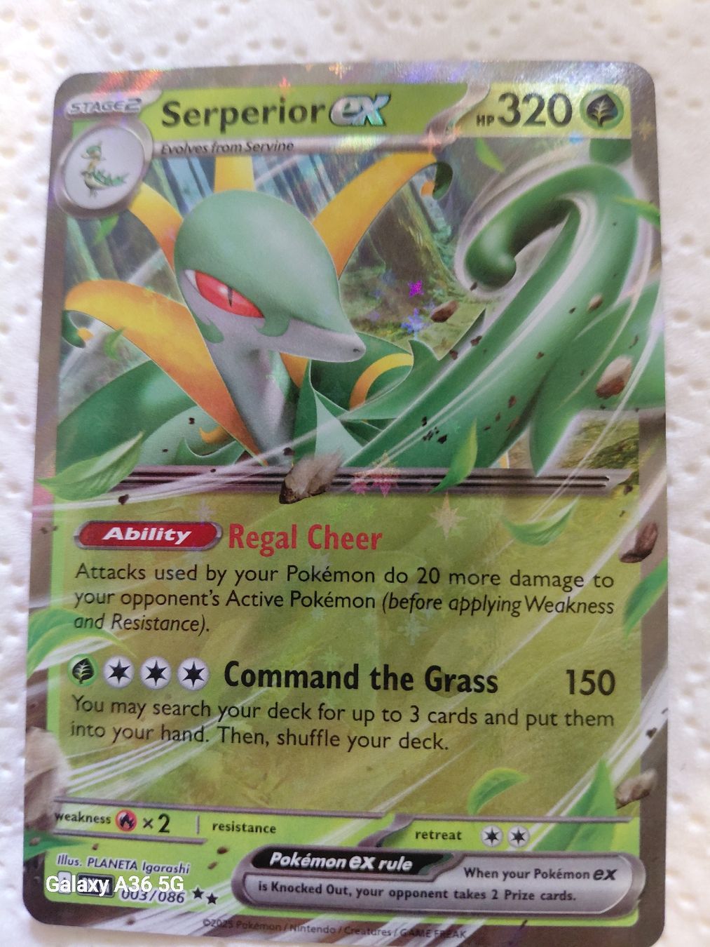 Pokémon Sammelbilder & Trading cards: Serperior ex 003/086 – Neu (gemäss Beschreibung) aus Zuchwil von Sam-ler-in