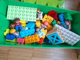Lego Duplo Bausteine Set mit Figuren, Blumen und einem Hund