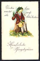 elegant gekleideter Frosch fühlt sich v