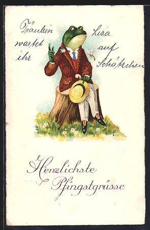 elegant gekleideter Frosch fühlt sich v