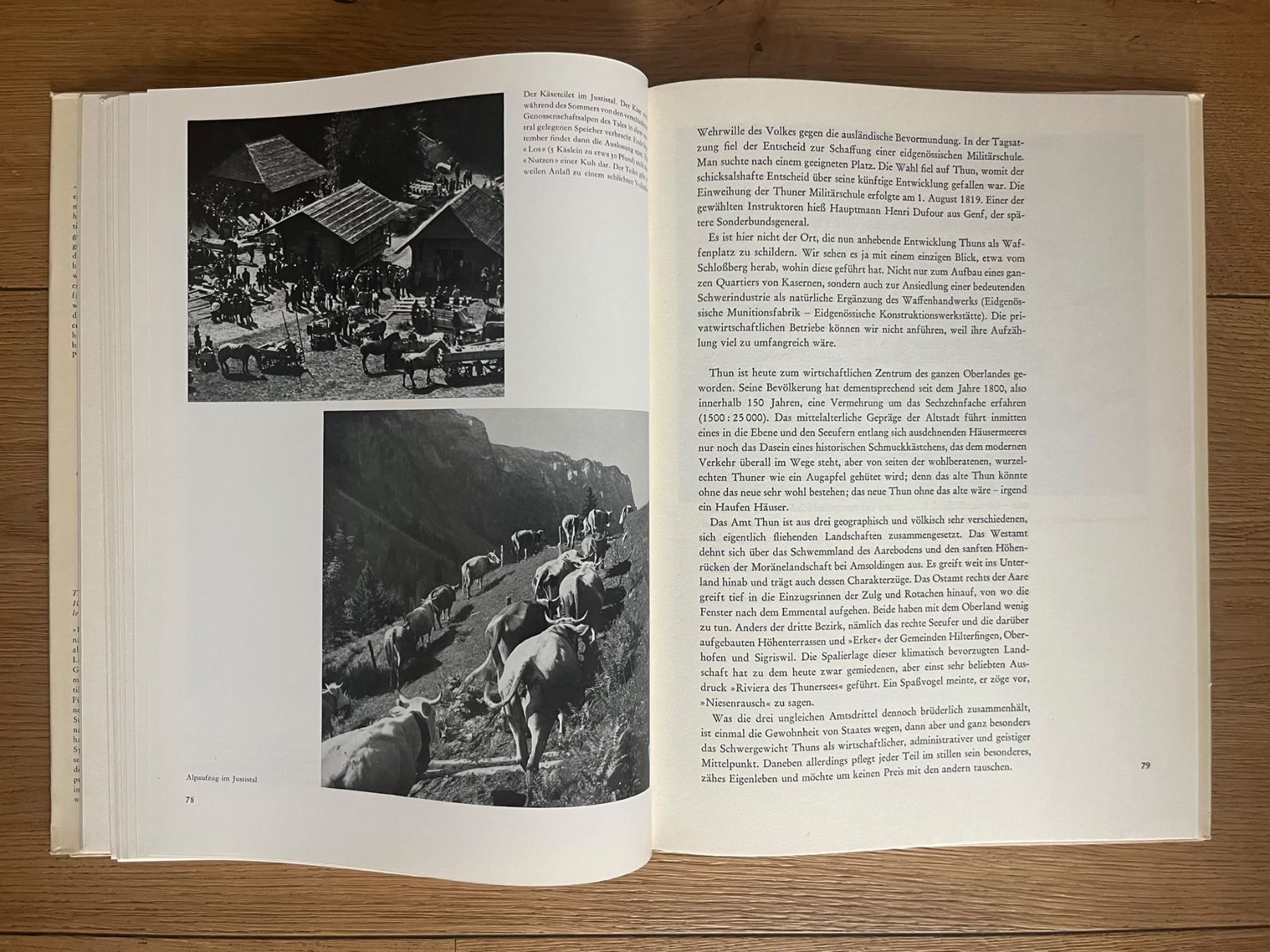 Libri: Das Berner Oberland – Usato da Altdorf UR venduto da luk_2p75 5
