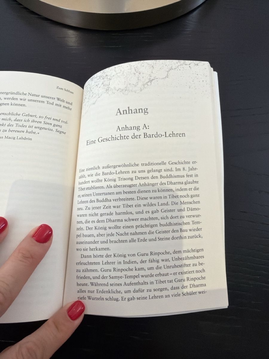 Bücher: Sterben Pema chödrön – Neu (gemäss Beschreibung) aus Däniken SO von NBdesign 4