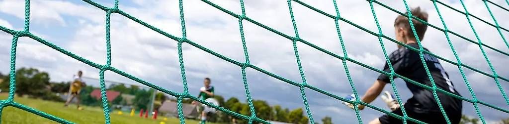 Libri: RETE RECINZIONE PER SPORT – Usato da Magadino venduto da Ivo02