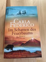 Roman Im Schatten des Feuerbaums Carla Federico Knaur