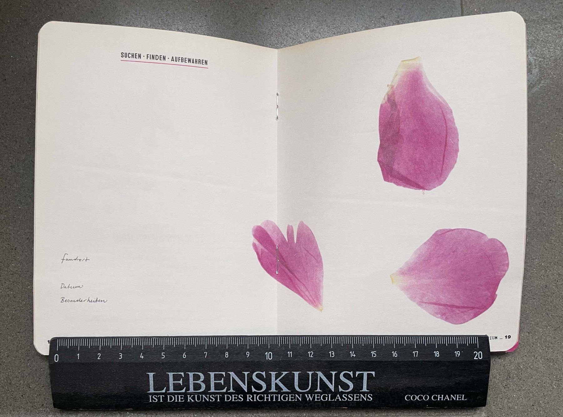 Kit bricolage: Herbarium DIY Flow Magazin – Nuovo (secondo la descrizione) da Zofingen venduto da angito 3