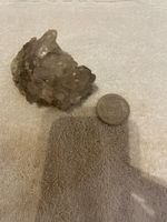 Bergkristall Gruppe, Quarz, Mineralien Sammlung Schweiz