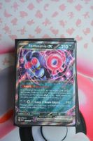 Fortusimia ex