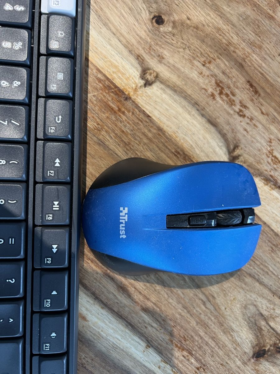 Logitech Mouse: Clavier Logitech +mouse trust – Usato da Mont sur Rolle venduto da nicola1075 2