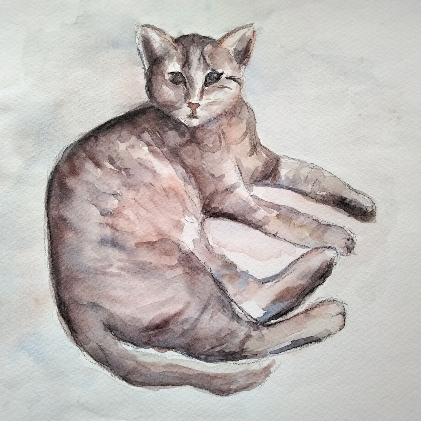 Dipinti: Original Aquarell "Katze" , Top – Usato da Rothenburg venduto da utrillo