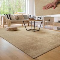 SONDERPREIS🔥 Teppich Wohnzimmer XXXL 240x340 Dunkel BEIGE
