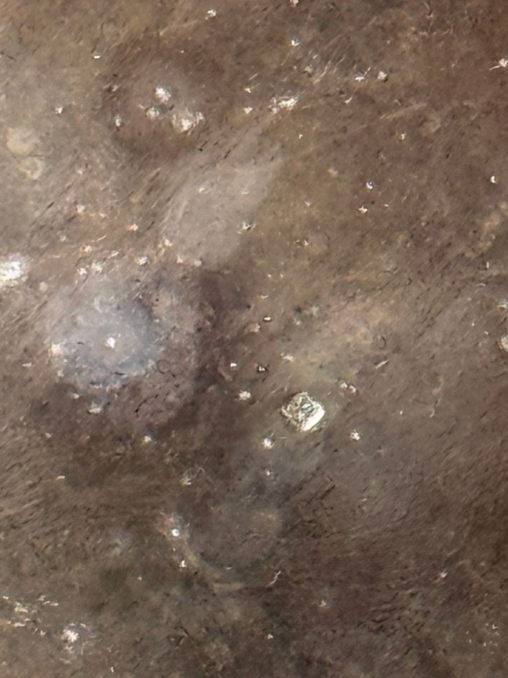 Sonstiges: Champagnerkühler / Weinkühler aus Silber, Vintage Stil – Gebraucht aus Uhwiesen von fel_5ghs 5
