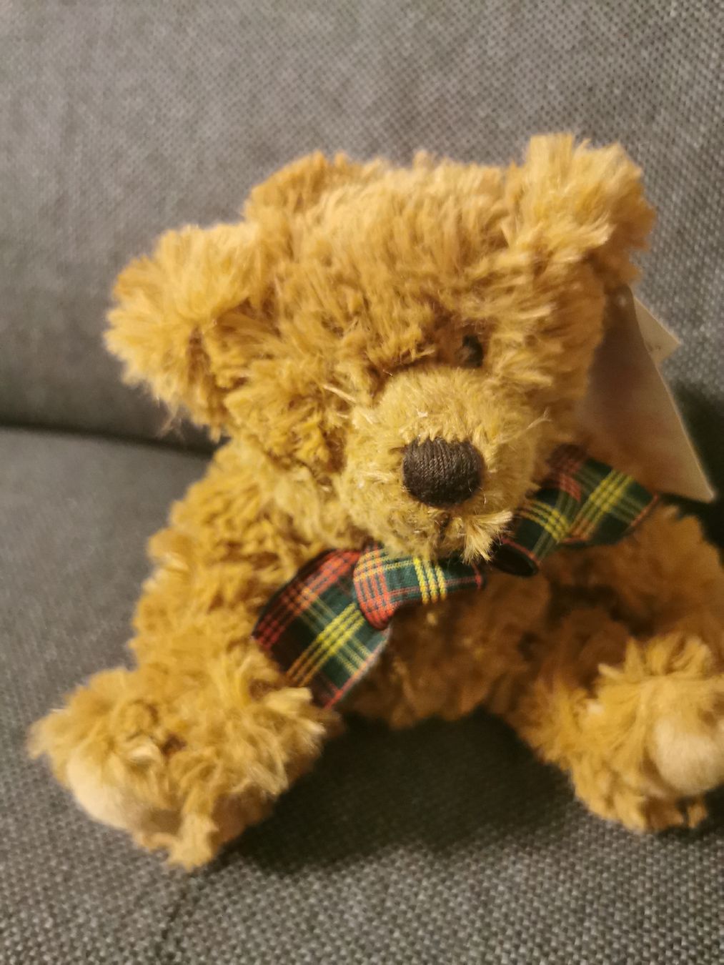 Giocattoli: Teddy Bär Russ Bernie US Gift 18cm – Nuovo (secondo la descrizione) da Buchs SG venduto da and_s6ps