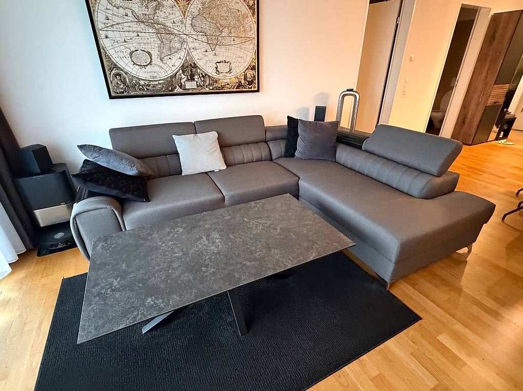 Divani: Sofa – Usato da Küsnacht ZH venduto da pet_65zf 1