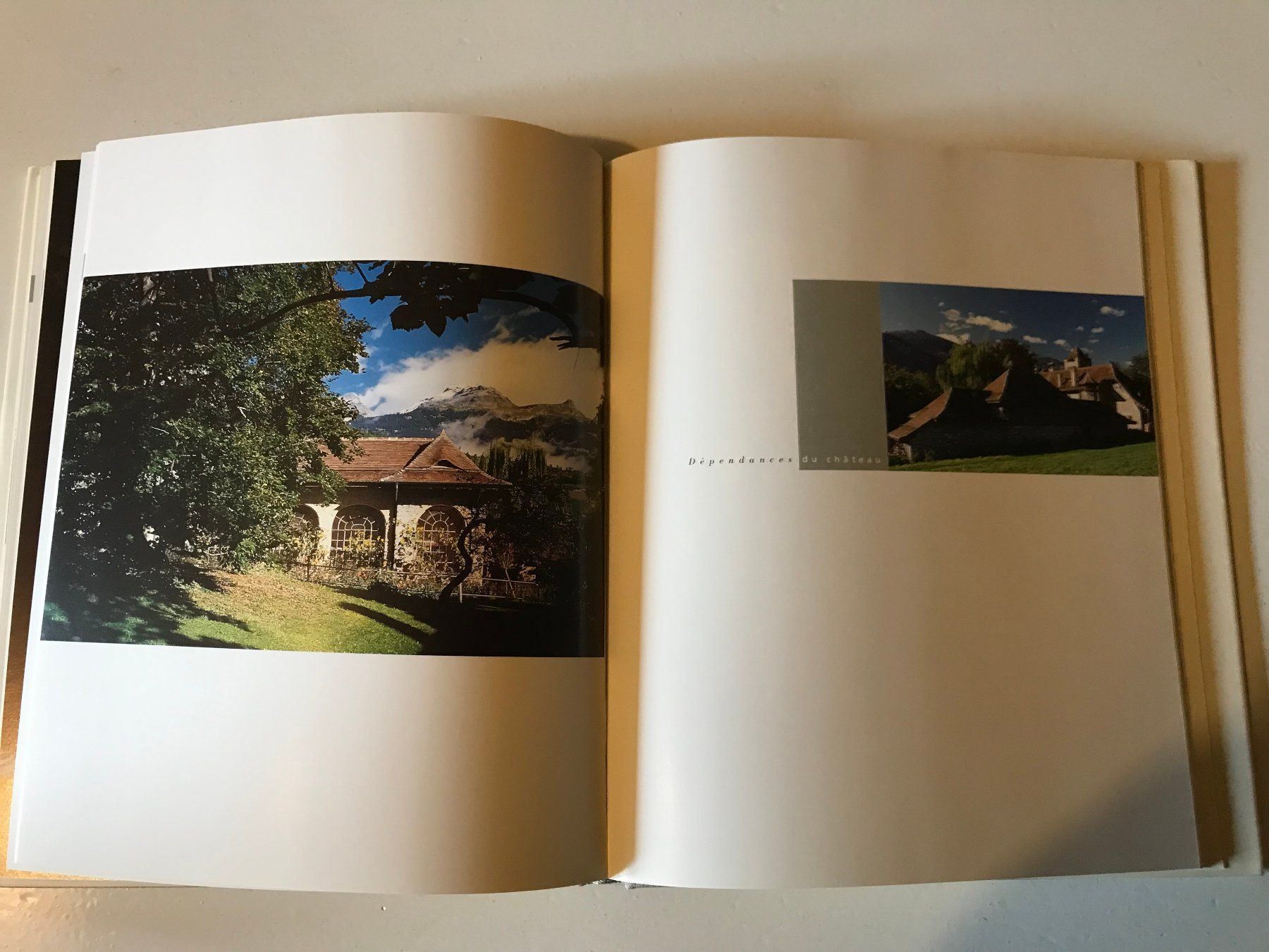 Libri: Livre sur Sierre "Temps et moments" – Usato da Ste-Croix venduto da mjmg 8