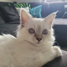 Profile image of Katja20