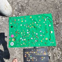 Pins collection