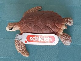 Karettschildkröte Schildkröte Tier Schleich