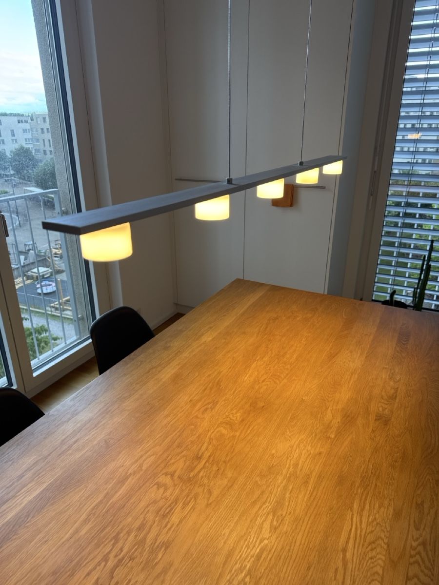 Pfister Lampadari & plafoniere: Pendellampe – Usato da Glattpark(Opfikon) venduto da MadMarc17